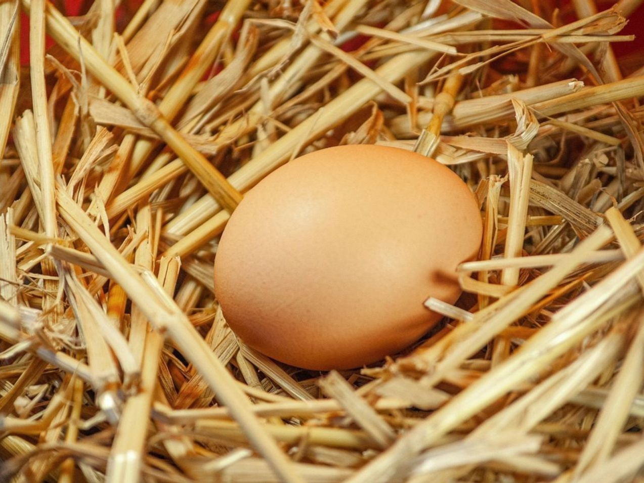 Weekly Egg Subscription